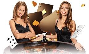 Penggemar olahraga membaca kategori win11bet